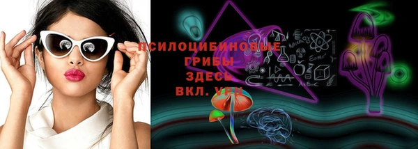 шишки Алексин