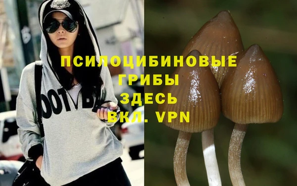 не бодяженный Алзамай