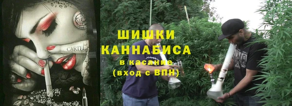 шишки Алексин