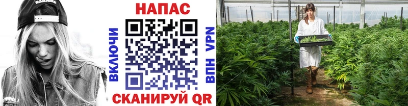 площадка клад  Лиски  Бошки Шишки ГИДРОПОН 